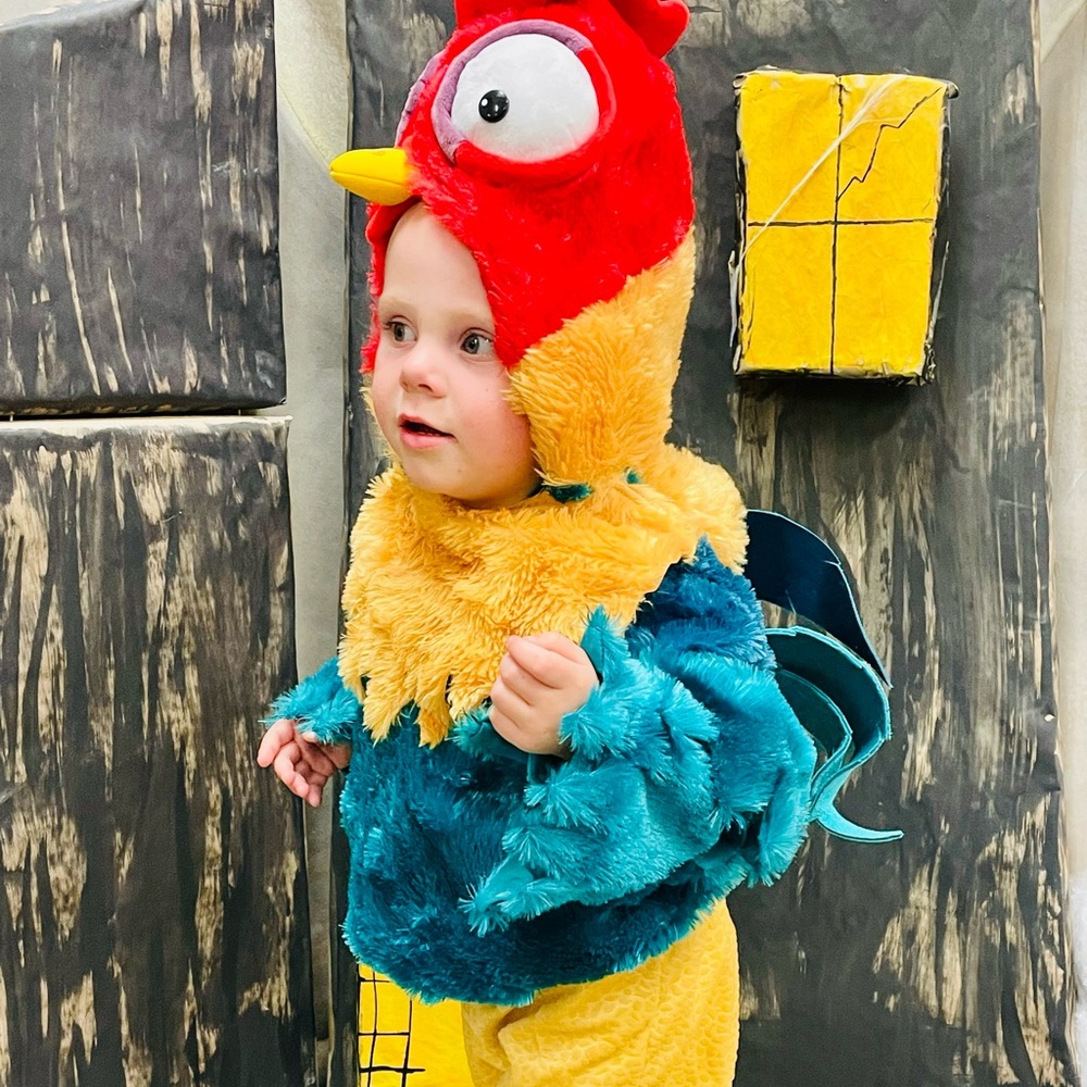 Disney Hei Hei Rooster Kids Costume